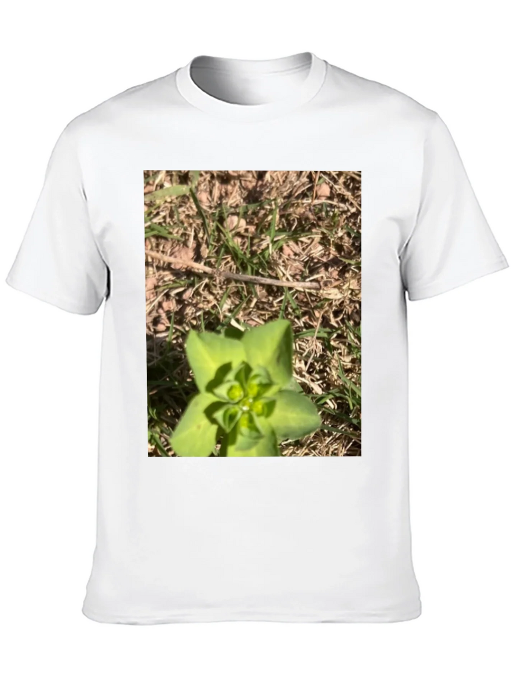 Nature-Inspired Graphic Tee