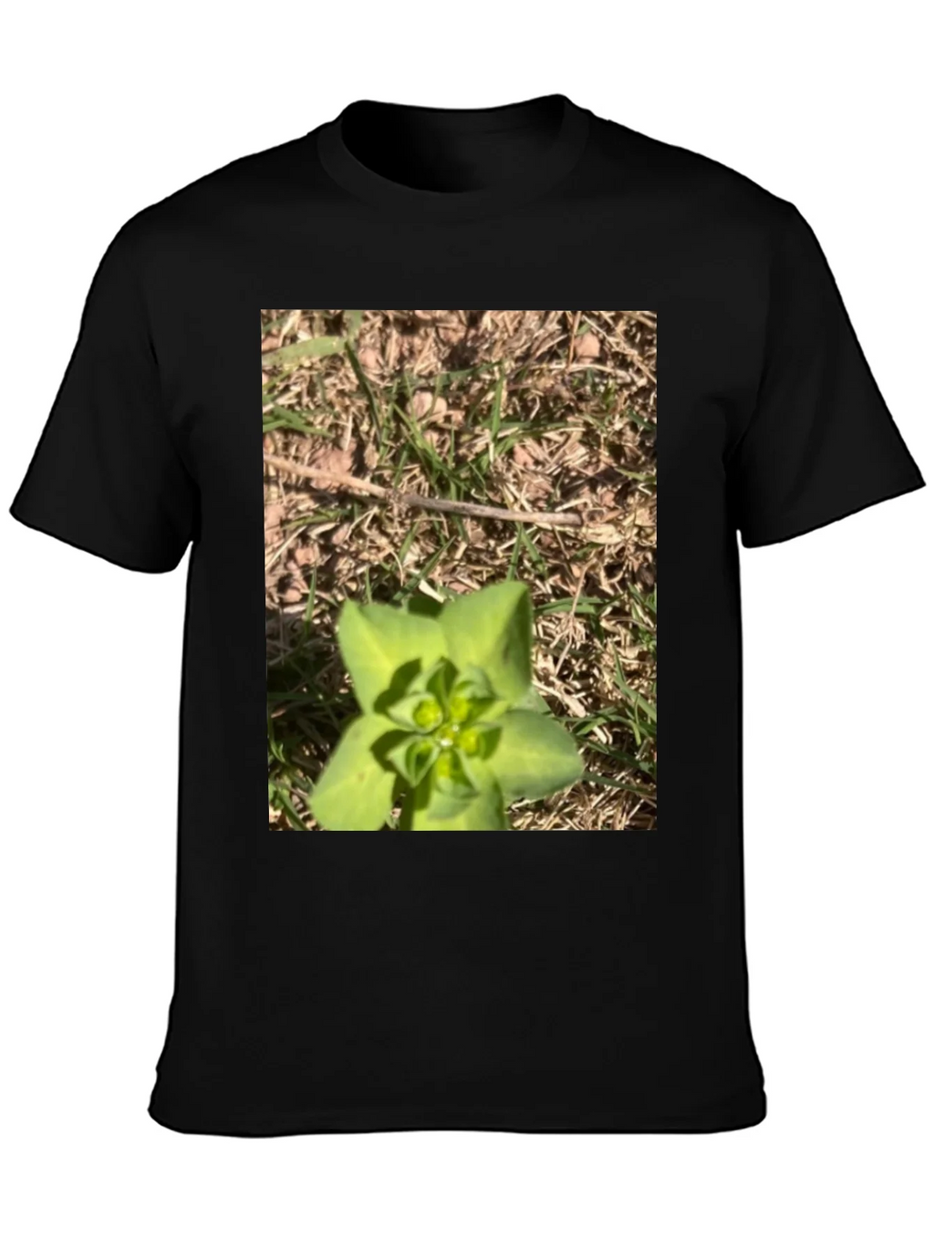 Nature-Inspired Graphic Tee