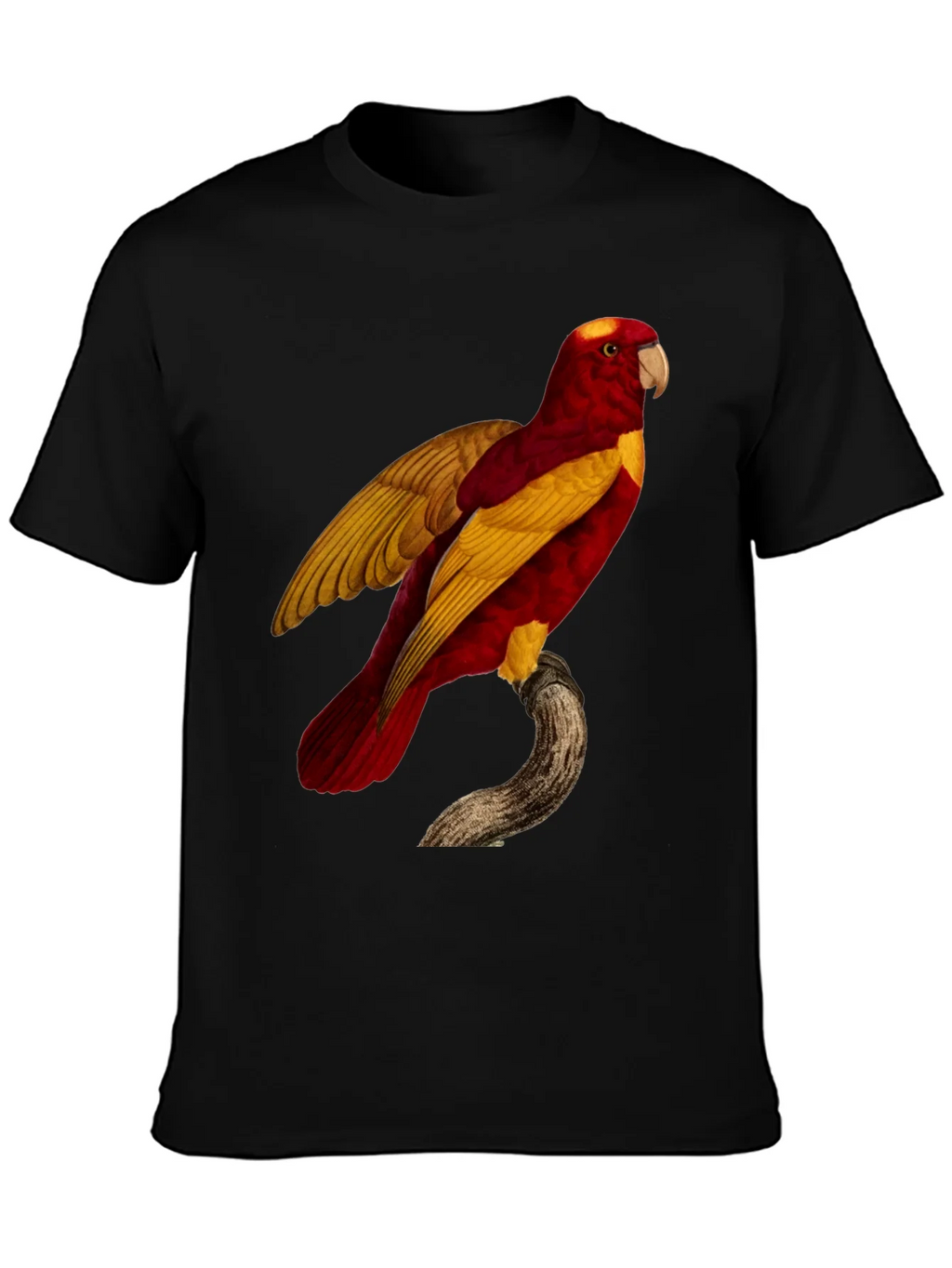 Exotic Parrot Graphic Tee