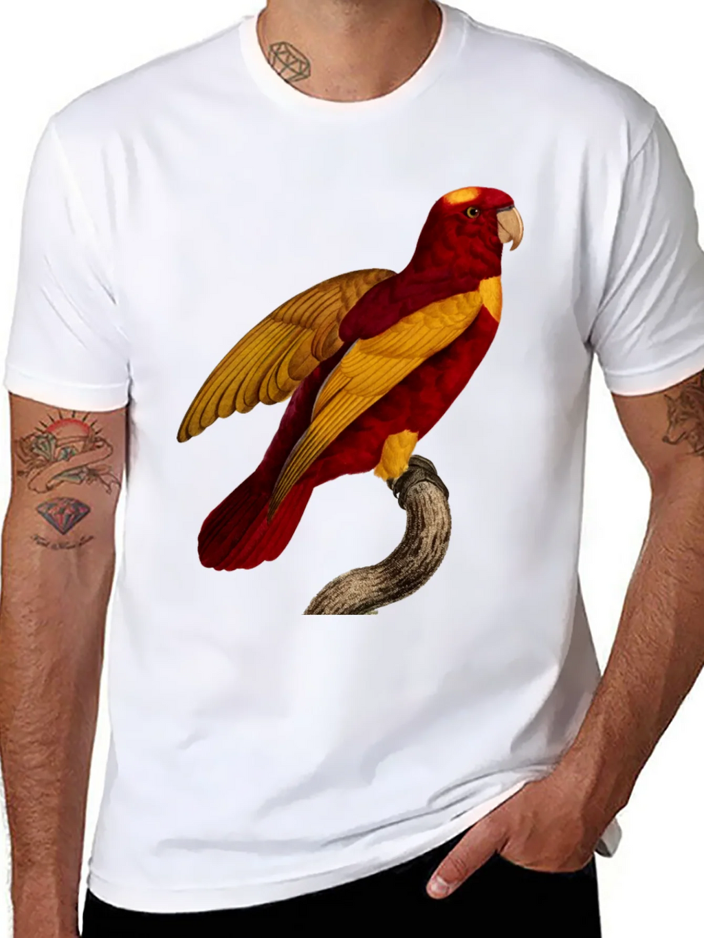 Exotic Parrot Graphic Tee