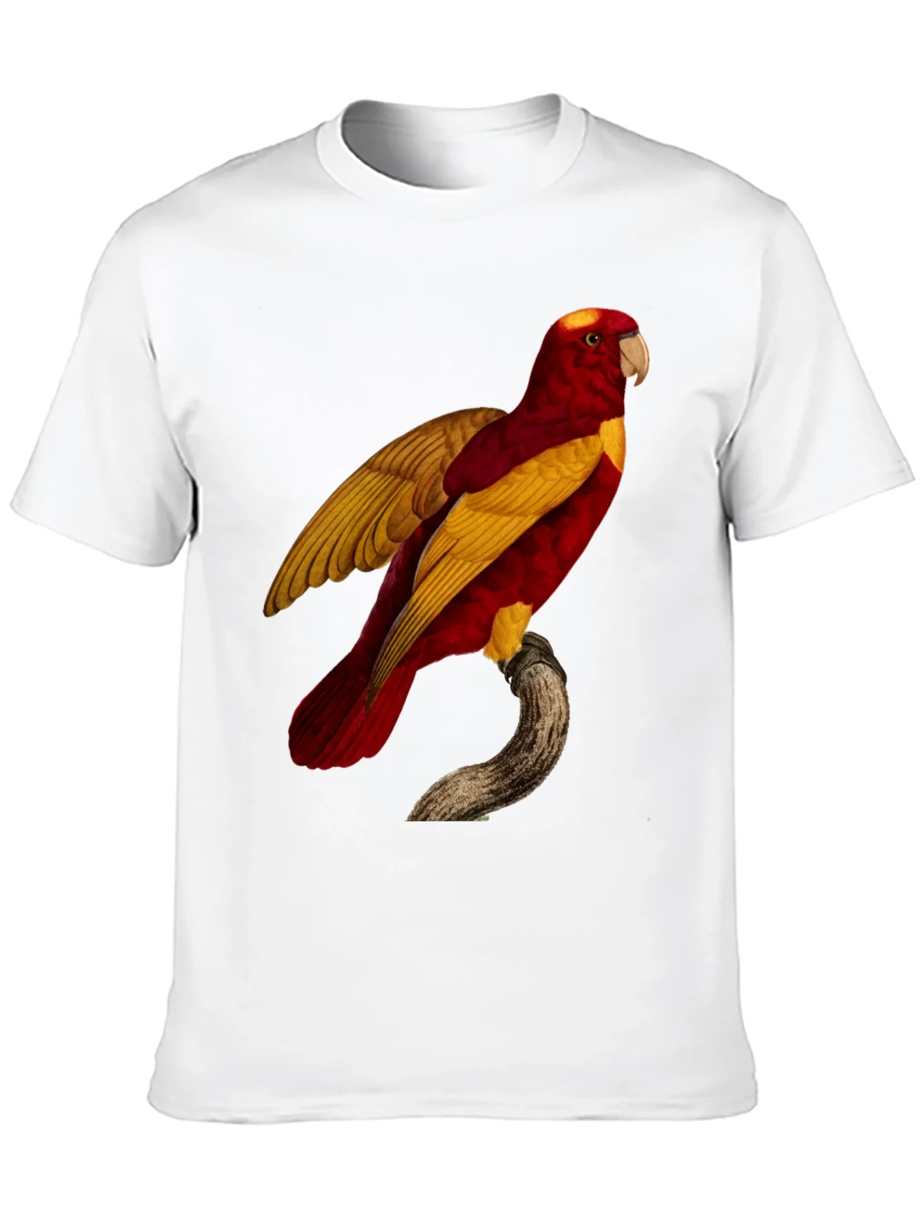 Exotic Parrot Graphic Tee