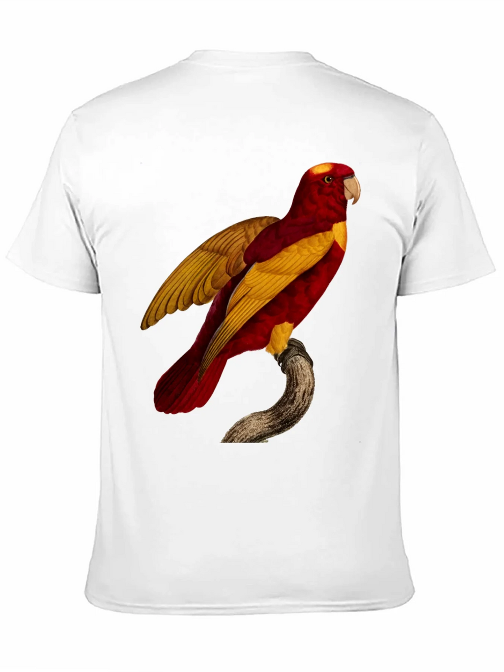 Exotic Parrot Graphic Tee